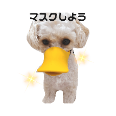 Suzu_20210904193047