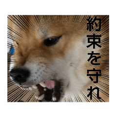 Hana_20210904193029