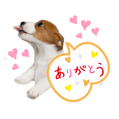 Ricky_