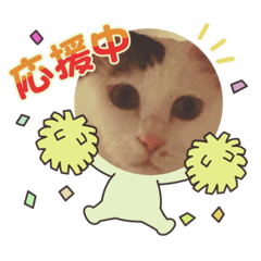 CAT_20210904204526.2