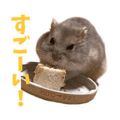 kokoko_20210904221137