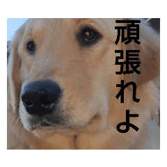 Hana_20210904231616