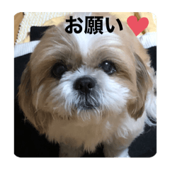 obakaing_20210905000108