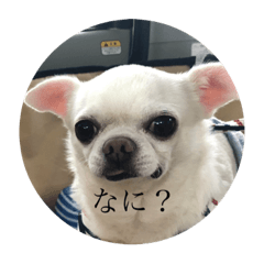 Hana_20210903183719