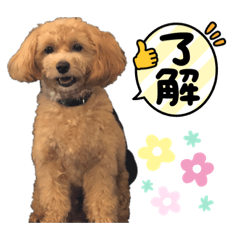SAKAKIBARACHIKA_20210903194535