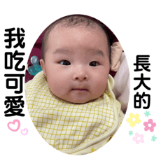 我是姍姍姍姍是我