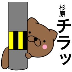 Name cat Sugihara