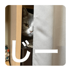 akiko_20210903235751