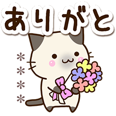 Cat Siamese (Custom3)