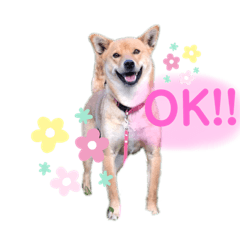 Miki_20210904000148