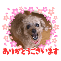 YUKA_20210904002707