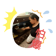 愛你真的沒辦法