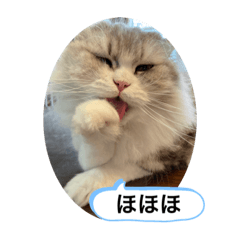 mimi_20210905033026