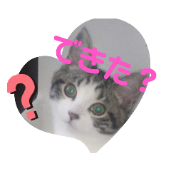 rei_20210904135715