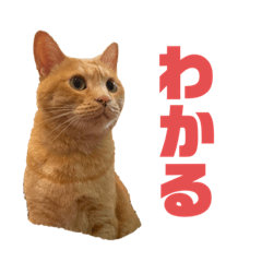 Tori_20210904120514