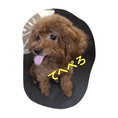 可愛いトイプードルのモモちゃん Line スタンプ Line Store