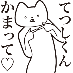 Tetsushi-kun [Send] Cat Sticker