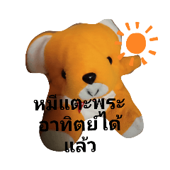 orange bear 680