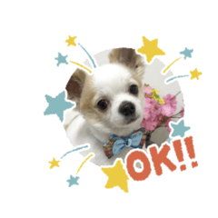 asuka_20210904135505