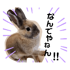 rabbit うーたんPart４