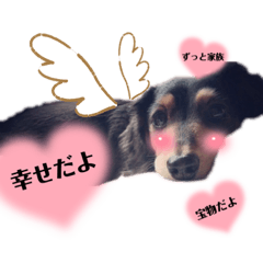 mimi_20210906002801