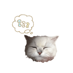 ryuuu