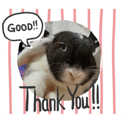 Alice_20210905184919