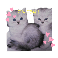 Hiyori_20210904193119