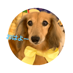 eririn_20210904205854