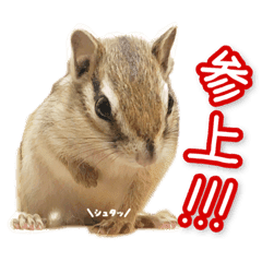 西暦 Lineクリエイターズスタンプまとめ Stamplist 西暦 Lineクリエイターズスタンプまとめ Stamplist