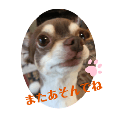 akiko_20210906114733