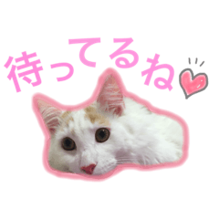1day of Rapu