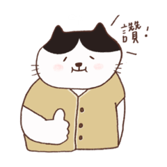Mochi the cat 麻薯貓日常01.