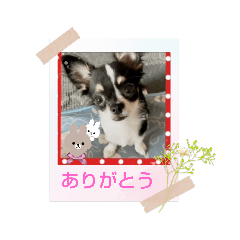 kaori_20210906131046
