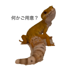 risa_20210904224231