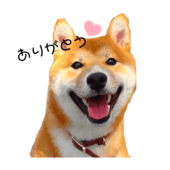 Natsumi_20210906132222