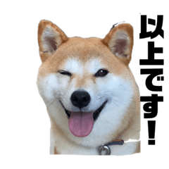Hana_20210905195628