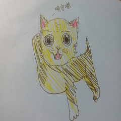 Illustration of cat