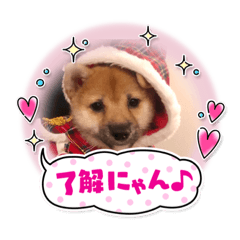 Nozomi_20210904234931