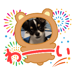 kaori_20210906134915