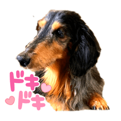 tori_20210905011910