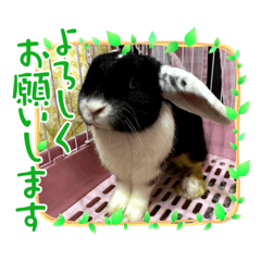 Alice_20210906110854