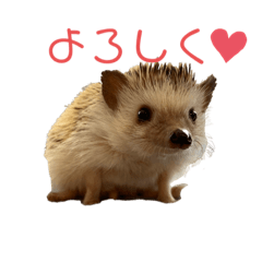 natsumi_20210905102426