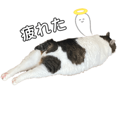 cat stamp "miichan"
