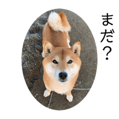 riho_20210905161528
