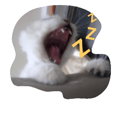 cada QQ