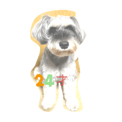 TOMOMI_20210905034207