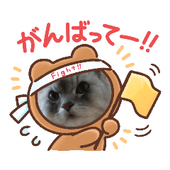 Hiyori_20210905095016