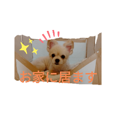 kuu_20210906204443
