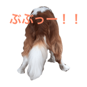 Cavalier_stamp